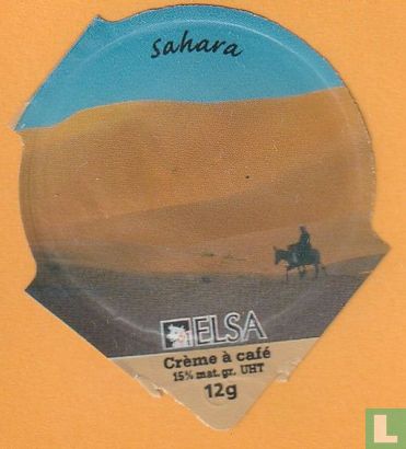Sahara 16