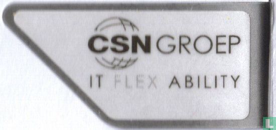  CSN Groep it flex ability