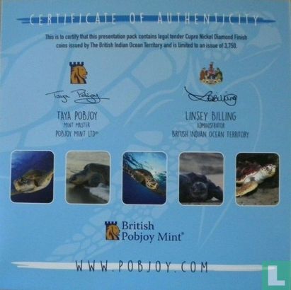 British Indian Ocean Territory mint set 2019 "Turtles" - Image 3