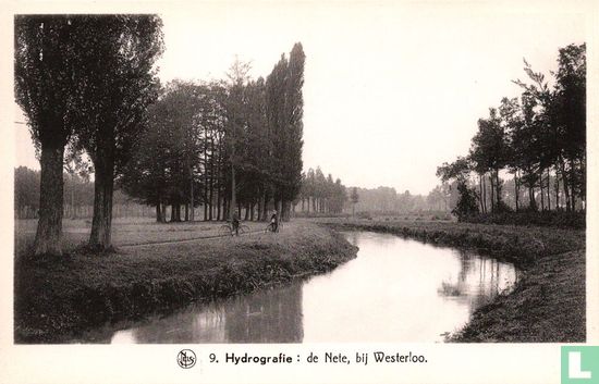 Hydrografie: de Nete, bij Westerloo - Afbeelding 1