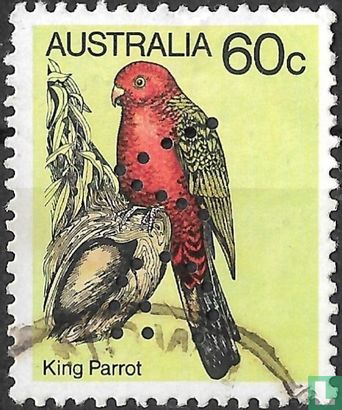 Australische koningsparkiet - Image 1
