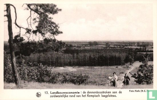 Landbouweconomie: de dennenbosstroken aan de zuidwestelijke rand van het Kempisch laagplateau - Afbeelding 1
