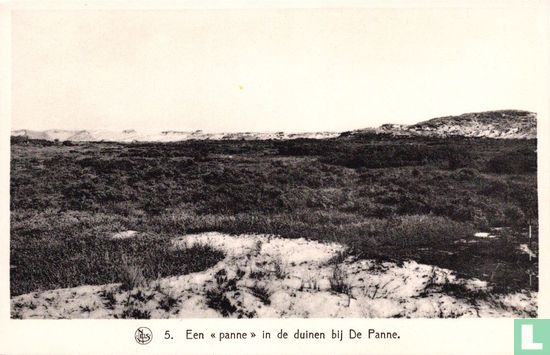 Een "panne" in de duinen bij De Panne - Image 1
