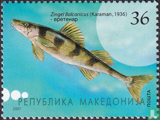 Native Freshwater Fish