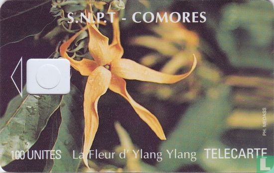 La Fleur d' Ylang Ylang - Afbeelding 1