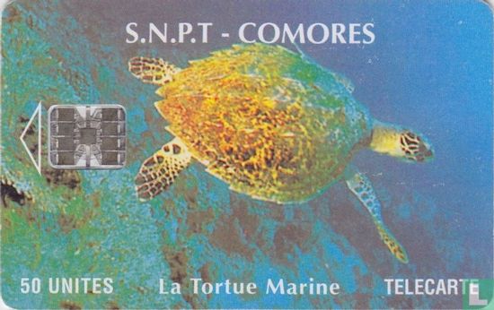 La tortue Marine - Afbeelding 1