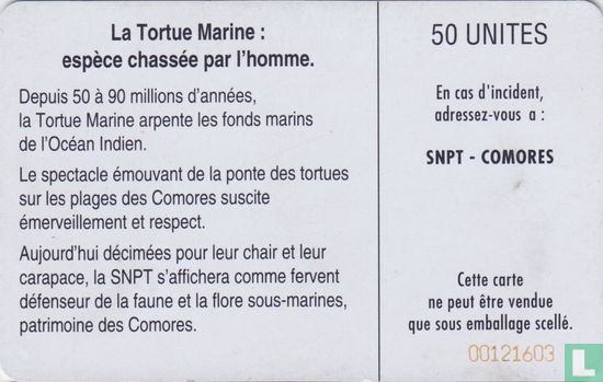 La tortue Marine - Afbeelding 2