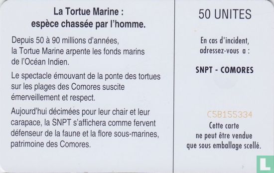 La tortue Marine - Bild 2