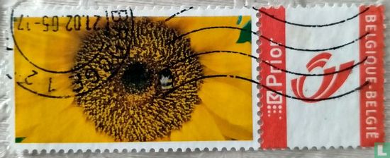 My Stamp sunflower
