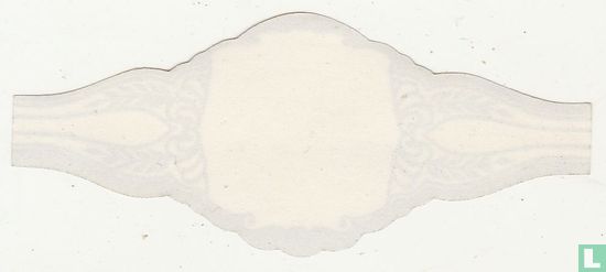 [Blanco] - Image 2