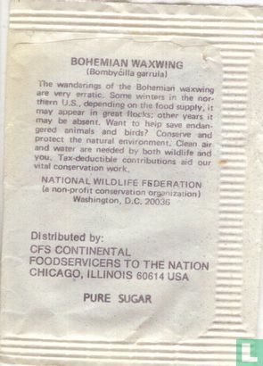 Bohemian Waxwing - Image 2