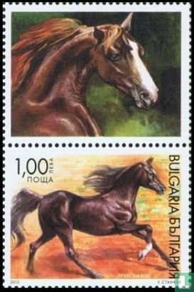 Paarden - Afbeelding 1