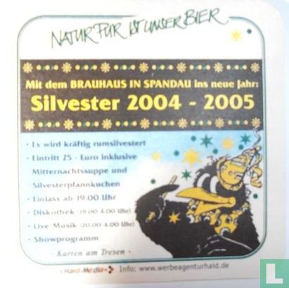 Silvester 2004-2005 - Bild 1