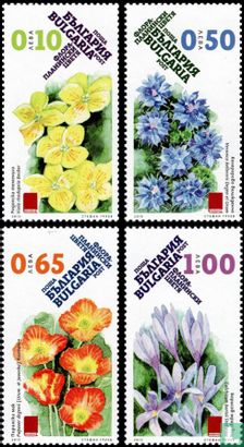 Bergblumen