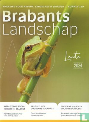 Brabants Landschap 220 - Lente - Image 1