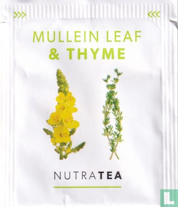 Mullein Leaf & Thyme  - Image 1