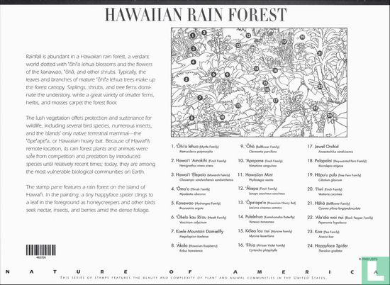 Bois des pluies de Hawaii - Image 2