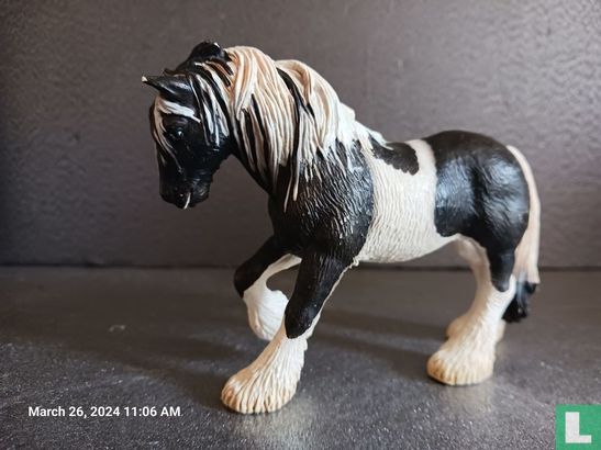 Tinker Mare - Image 2