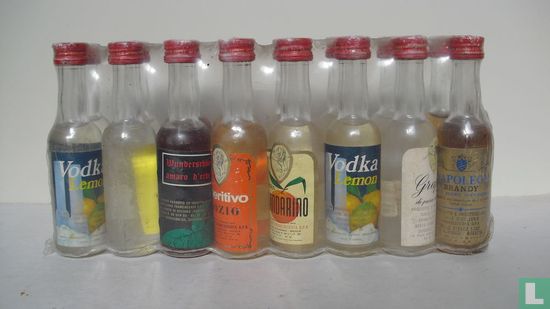 Setje van 16 flesjes Wodka & Brandy - Afbeelding 1