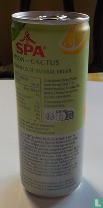 Spa Fruit Lemon Cactus  - Image 3