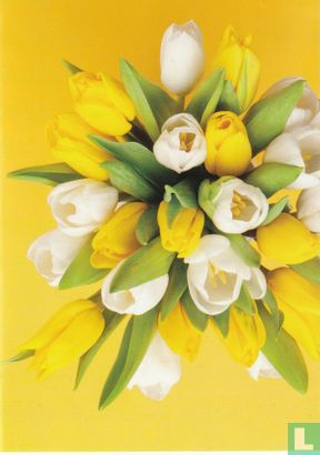 Boeket witte en gele tulpen  - Afbeelding 1