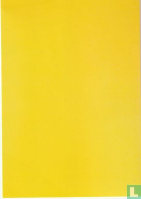 Boeket witte en gele tulpen  - Afbeelding 2