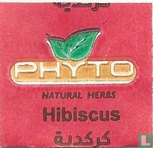Hibiscus - Afbeelding 3