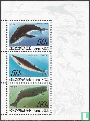 Walvissen en dolfijnen