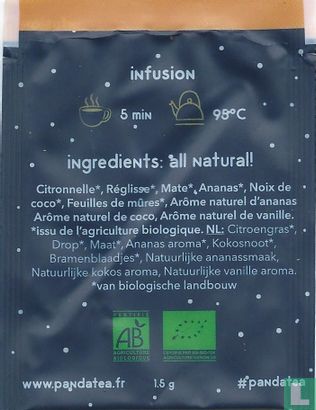 infusion ananas coco - Afbeelding 2