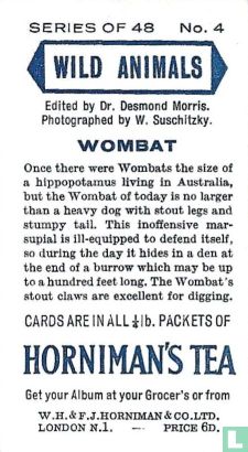 Wombat - Afbeelding 2