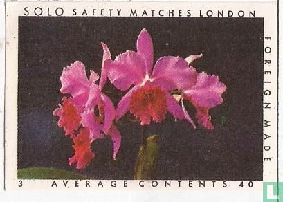 Solo safety matches London