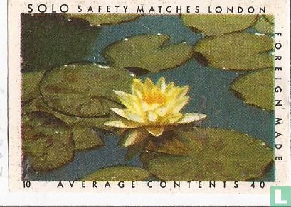 Solo safety matches London