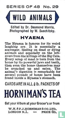 Hyaena - Afbeelding 2