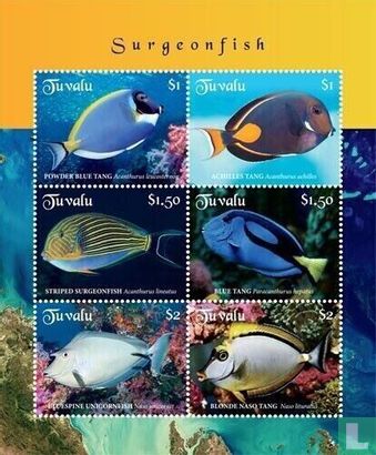 Poissonas docteurs
