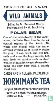 Polar Bear - Image 2