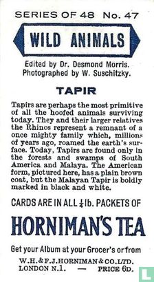 Tapir - Image 2