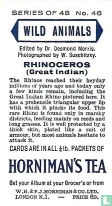 Rhinoceros (Great Indian) - Image 2
