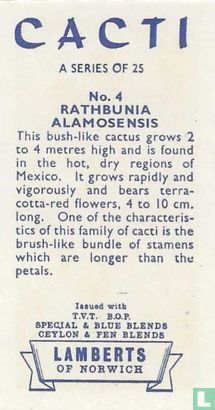 Rathbunia Alamosensis - Afbeelding 2