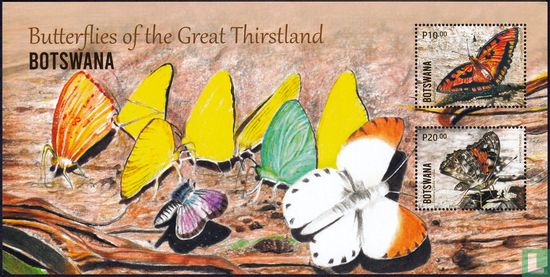Schmetterlinge des Großen Durstlandes