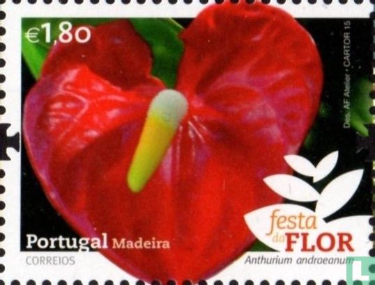 Madeira Blumenfest