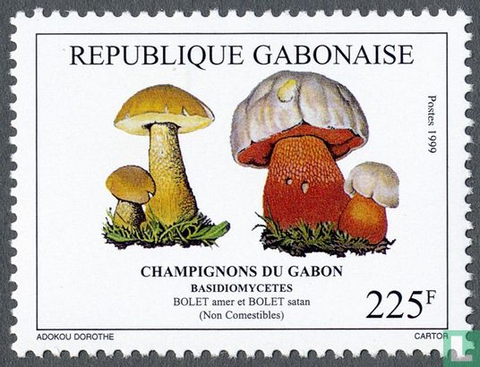 Champignons du Gabon
