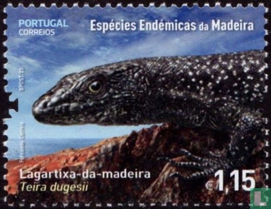 Endemic animal species of Madeira
