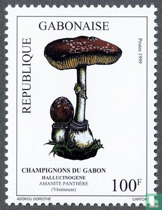 Paddenstoelen van Gabon