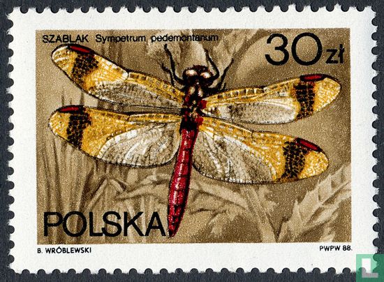 Dragonflies   