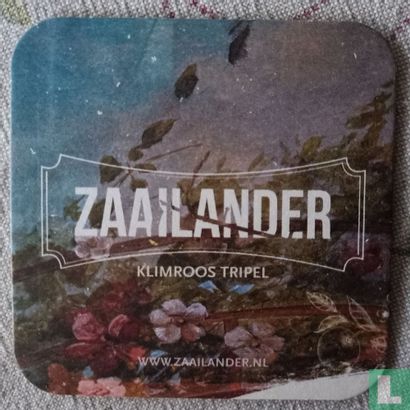 Zaailander Klimroos Tripel - Image 1