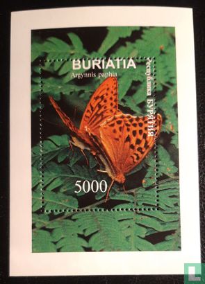 Butterfly Buriatia