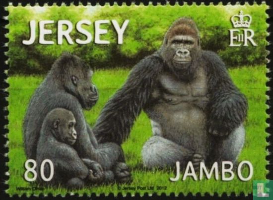 Jambo de Gorilla