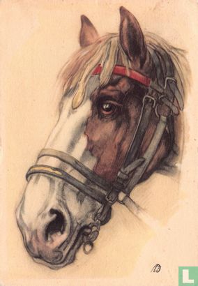 Paardenhoofd - Afbeelding 1