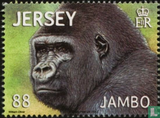 Jambo de Gorilla