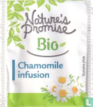 Chamomile infusion - Afbeelding 1